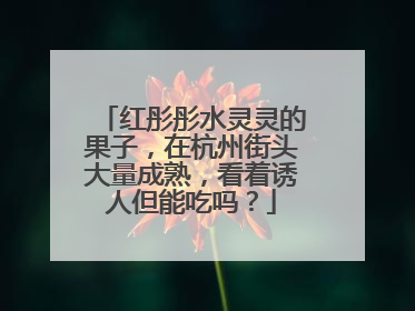 红彤彤水灵灵的果子，在杭州街头大量成熟，看着诱人但能吃吗？