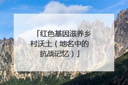 红色基因滋养乡村沃土（地名中的抗战记忆）