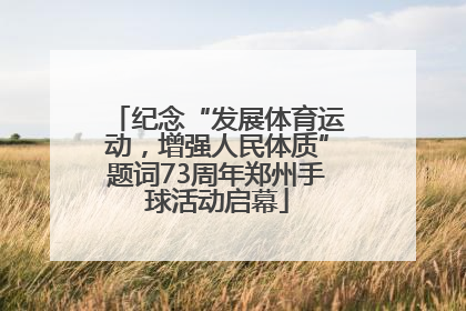 纪念“发展体育运动，增强人民体质”题词73周年郑州手球活动启幕