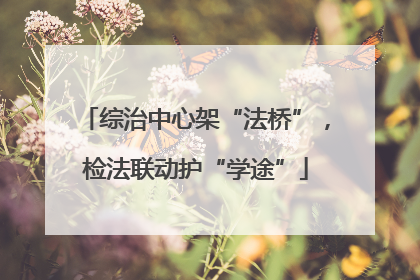 综治中心架“法桥”，检法联动护“学途”