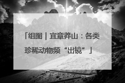 组图｜宜章莽山：各类珍稀动物频“出镜”