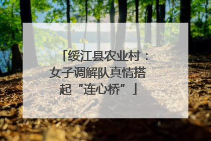 绥江县农业村：女子调解队真情搭起“连心桥”