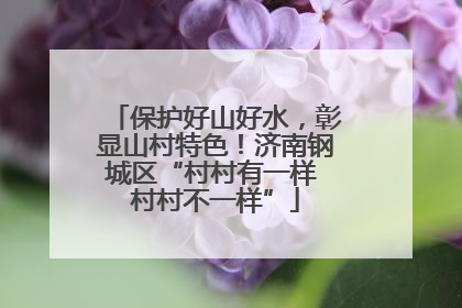 保护好山好水，彰显山村特色！济南钢城区“村村有一样 村村不一样”