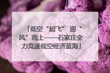 低空“起飞” 迎“风”而上——石家庄全力竞逐低空经济蓝海