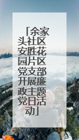余家头社区安胜花园片区党支部开展廉政主题党日活动