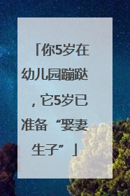 你5岁在幼儿园蹦跶，它5岁已准备“娶妻生子”