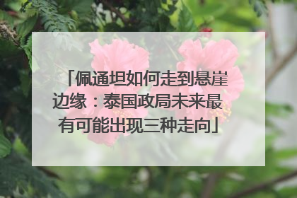 佩通坦如何走到悬崖边缘：泰国政局未来最有可能出现三种走向