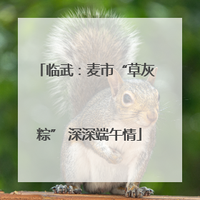 临武：麦市“草灰粽” 深深端午情