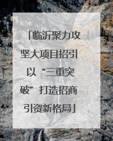 临沂聚力攻坚大项目招引 以“三重突破”打造招商引资新格局