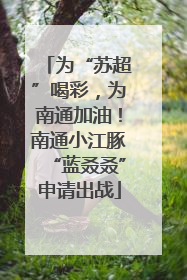 为“苏超”喝彩，为南通加油！南通小江豚“蓝叒叒”申请出战
