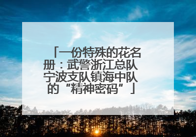 一份特殊的花名册：武警浙江总队宁波支队镇海中队的“精神密码”