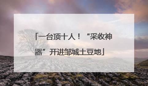 一台顶十人！“采收神器”开进邹城土豆地