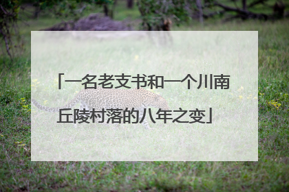 一名老支书和一个川南丘陵村落的八年之变