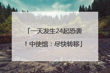 一天发生24起恐袭！中使馆：尽快转移