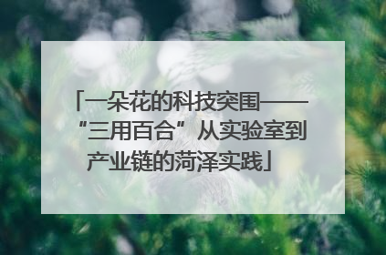 一朵花的科技突围——“三用百合”从实验室到产业链的菏泽实践