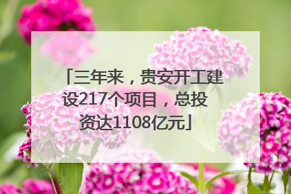 三年来，贵安开工建设217个项目，总投资达1108亿元