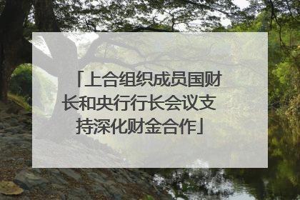 上合组织成员国财长和央行行长会议支持深化财金合作