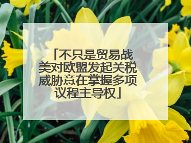 不只是贸易战 美对欧盟发起关税威胁意在掌握多项议程主导权