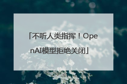 不听人类指挥！OpenAI模型拒绝关闭