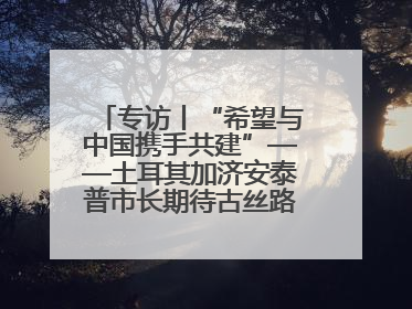 专访丨“希望与中国携手共建”——土耳其加济安泰普市长期待古丝路重镇焕发新活力
