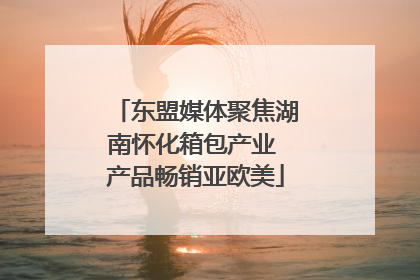 东盟媒体聚焦湖南怀化箱包产业 产品畅销亚欧美