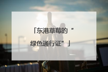东港草莓的“绿色通行证”