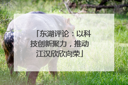 东湖评论：以科技创新聚力，推动江汉欣欣向荣