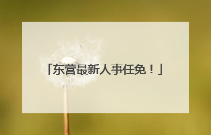 东营最新人事任免！