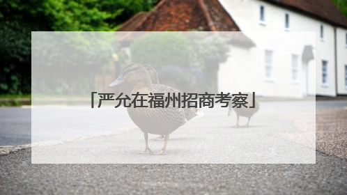 严允在福州招商考察
