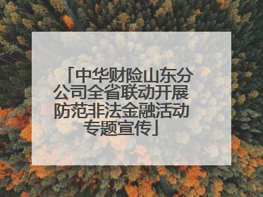 中华财险山东分公司全省联动开展防范非法金融活动专题宣传