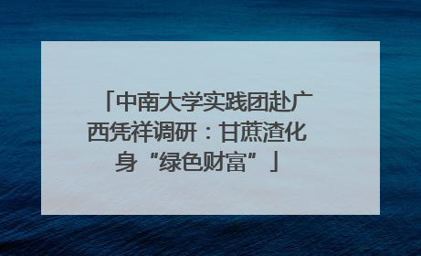 中南大学实践团赴广西凭祥调研：甘蔗渣化身“绿色财富”