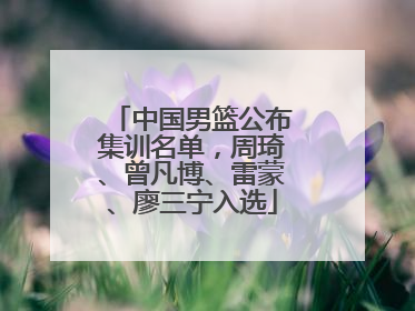 中国男篮公布集训名单，周琦、曾凡博、雷蒙、廖三宁入选