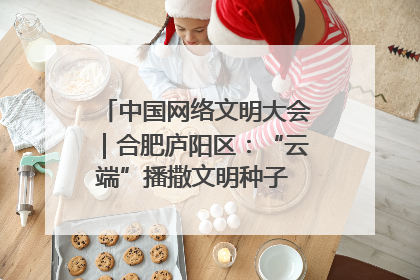 中国网络文明大会｜合肥庐阳区：“云端”播撒文明种子 共建清朗网络空间