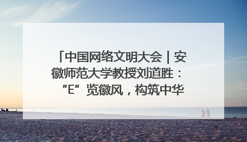 中国网络文明大会｜安徽师范大学教授刘道胜：“E”览徽风，构筑中华民族共有精神家园