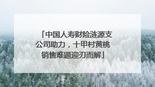 中国人寿财险涟源支公司助力，十甲村黄桃销售难题迎刃而解