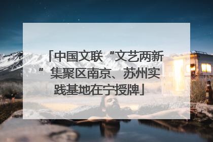 中国文联“文艺两新”集聚区南京、苏州实践基地在宁授牌