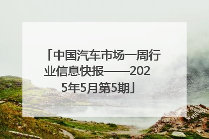 中国汽车市场一周行业信息快报——2025年5月第5期