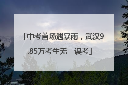 中考首场遇暴雨，武汉9.85万考生无一误考