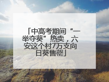中高考期间“一举夺葵”热卖，六安这个村7万支向日葵售罄