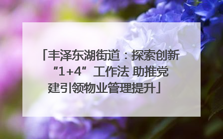 丰泽东湖街道：探索创新“1+4”工作法 助推党建引领物业管理提升