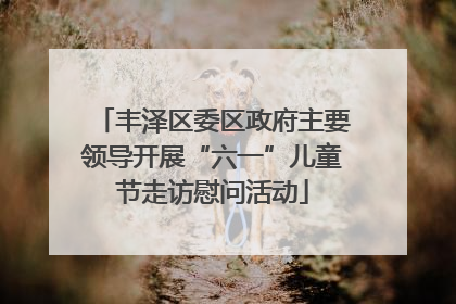 丰泽区委区政府主要领导开展“六一”儿童节走访慰问活动