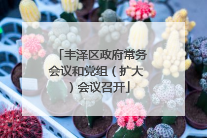 丰泽区政府常务会议和党组（扩大）会议召开