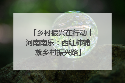乡村振兴在行动丨河南南乐：西红柿铺就乡村振兴路