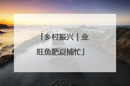 乡村振兴｜业旺鱼肥夏捕忙