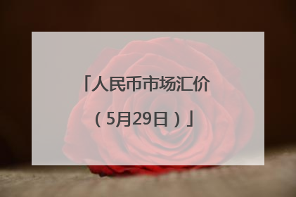 人民币市场汇价（5月29日）