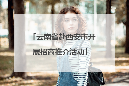 云南省赴西安市开展招商推介活动