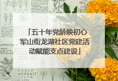 五十年党龄映初心 军山街龙湖社区党建活动赋能支点建设