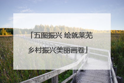 五图振兴 绘就莱芜乡村振兴美丽画卷