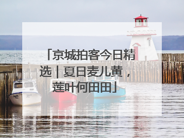 京城拍客今日精选｜夏日麦儿黄，莲叶何田田