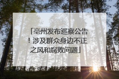 亳州发布巡察公告！涉及群众身边不正之风和腐败问题